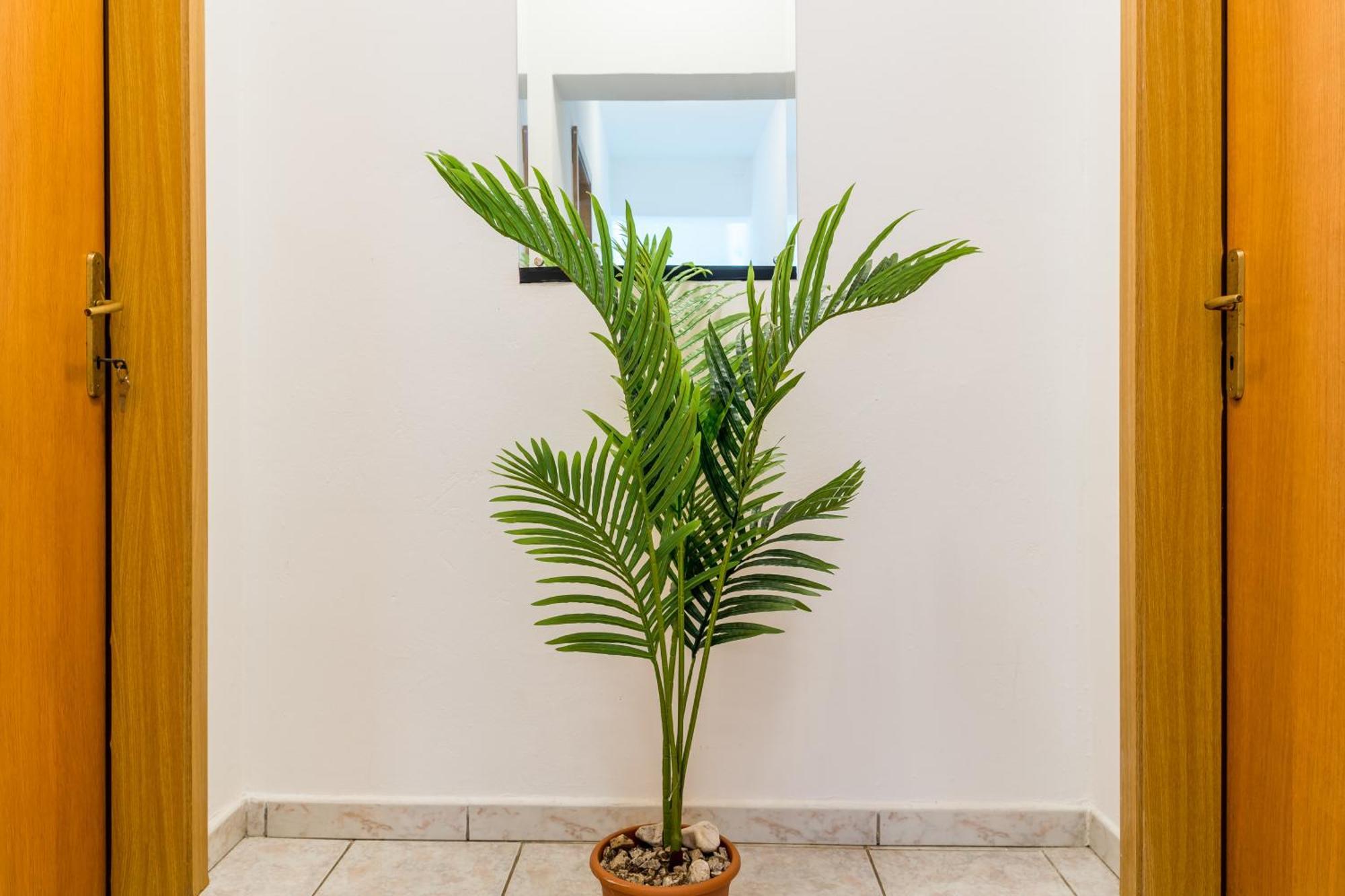 שמריקה Apartments Claudia מראה חיצוני תמונה